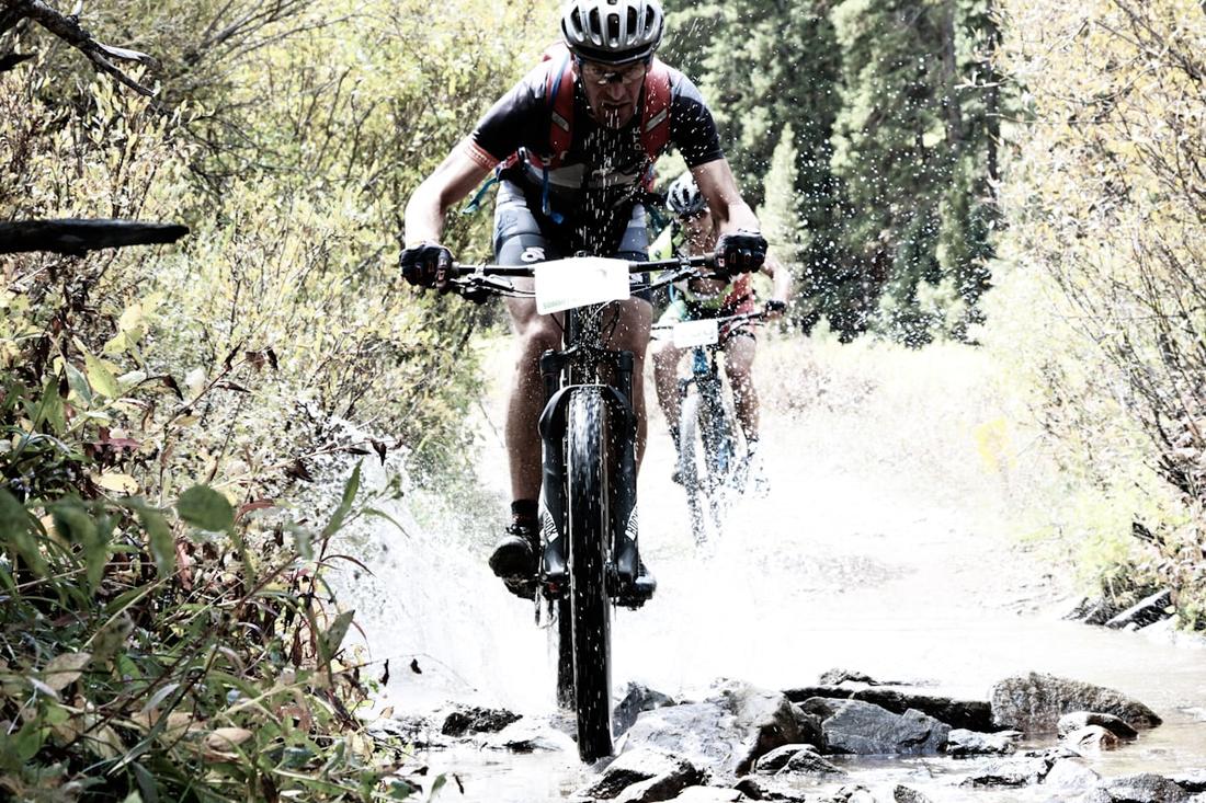 Trailblazer 29"